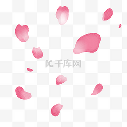 手绘漂浮花瓣图片_散开飘落的樱花花瓣