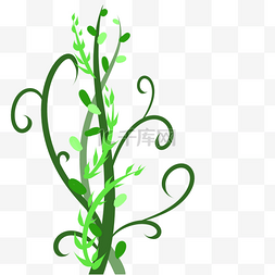 绿色卷曲缠绕藤蔓