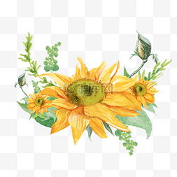 手绘向日葵边框黄色水彩插画元素