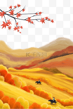 秋天枫叶落叶草地黄色风景