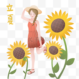 立夏向日葵的插画