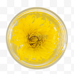 黄色菊花花茶