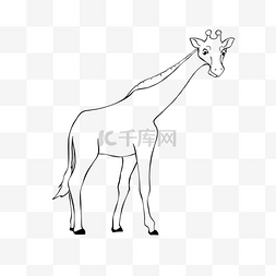 giraffe clipart black and white 长颈鹿可