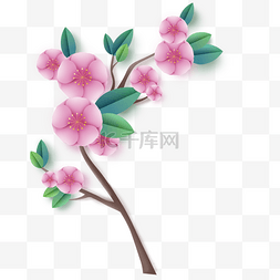 赏樱花png图片图片_立体粉色樱花