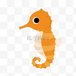 橙色动物海马