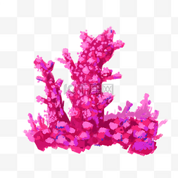 艳丽的红色珊瑚