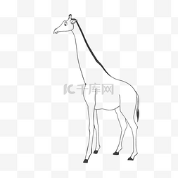 giraffe图片_giraffe clipart black and white 长颈鹿可