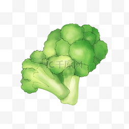 果蔬图片_西兰花绿色食品图片素材