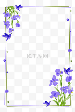 紫花花图片_春夏紫鸢花蜂鸟波点双线简约边框