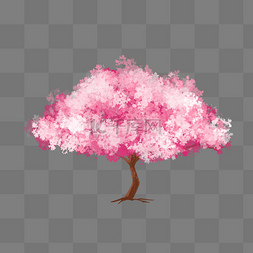 春天春季粉色樱花树