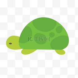 绿色小乌龟