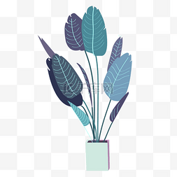 蓝色植物盆栽