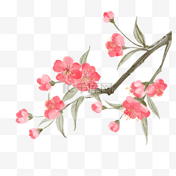 唯美粉色花朵背景图片_水彩花卉粉色清新唯美