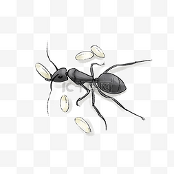 二十四节气惊蛰图片_二十四节气惊蛰蚂蚁蚂蚁搬运粮食