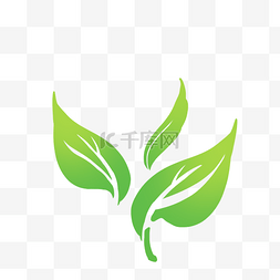 白梅花茶叶图片_线描茶叶绿茶