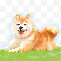 柴插画图片_治愈动物萌宠柴犬