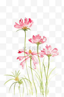 盛开的花朵中图片_水彩画摇曳的粉色花