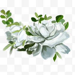 水彩白色栀子花