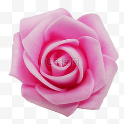粉色浪漫520图片_情人节粉色玫瑰