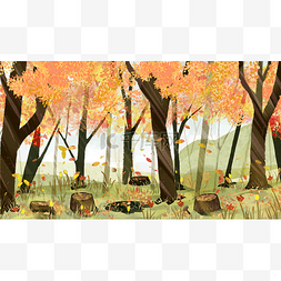秋天森林树林树叶落叶