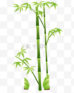手绘竹子装饰图片_矢量中国风植物竹子