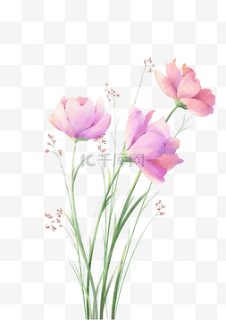 粉色花朵手绘水彩