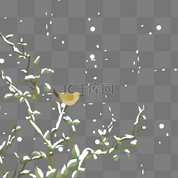 大雪积雪花鸟树木