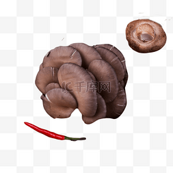 圆香菇个头大大的平菇