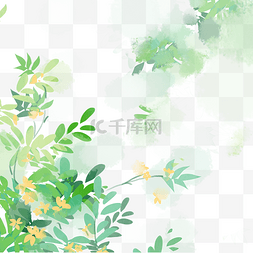 清新绿色水彩图片_绿色水彩植物