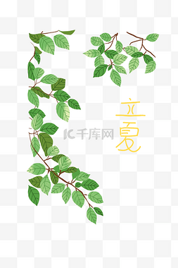 立夏树荫插画装饰