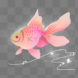梦幻动物粉色金鱼