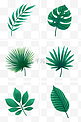 各种绿色叶子组图PNG免抠素材