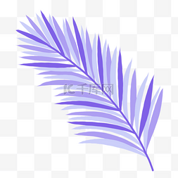 紫色棕榈叶