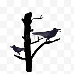 树枝动物乌鸦
