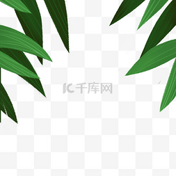 卡通绿色的叶子植物