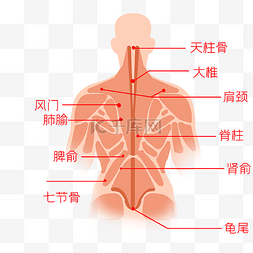 按摩力度图片_医疗保健人体穴位