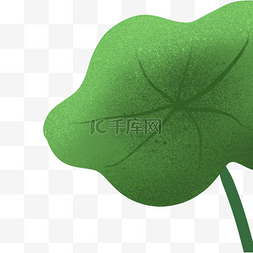 绿色河边图片_绿色的卡通荷花植物