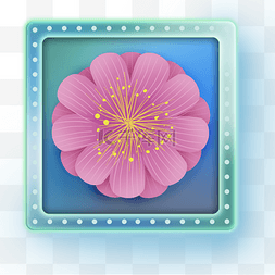 花卉按钮图片_精美花朵图标