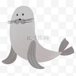 可爱动物海豹灰色