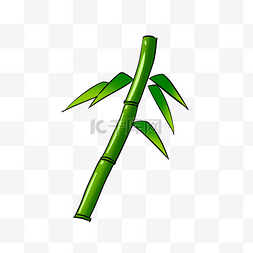 扭曲的小段竹节