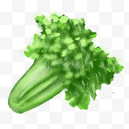 一棵青菜图片_绿色新鲜芹菜
