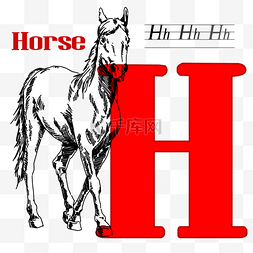 字母h素描动物马