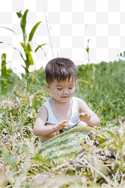 玩耍的孩童图片_西瓜地里的男孩