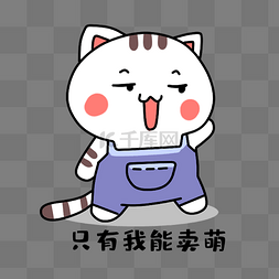 小猫卖萌表情包