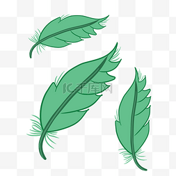 三个绿色羽毛