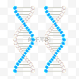 基因链链图片_医学基因链