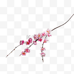 春季出游图片_红色的桃花桃花树枝