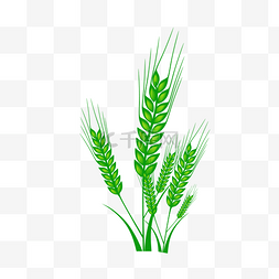 绿色食物插图图片_绿色粮食麦穗插画
