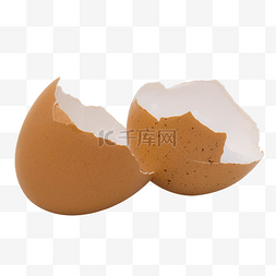 蛋壳写真图片_棕色鸡蛋壳