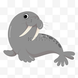 动物海豹图片_灰色海豹元素